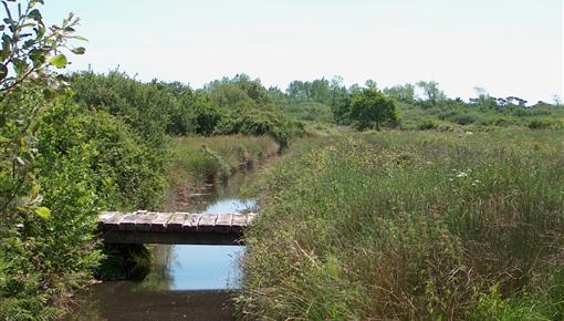 Natural protected area in front of the Kost ar Moor Campsite - Camping Kost Ar Moor - Fouesnant