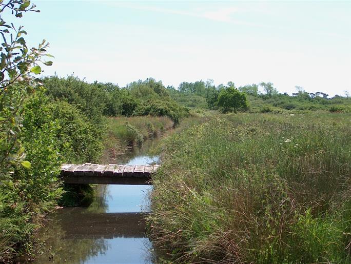 Natural protected area in front of the Kost ar Moor Campsite