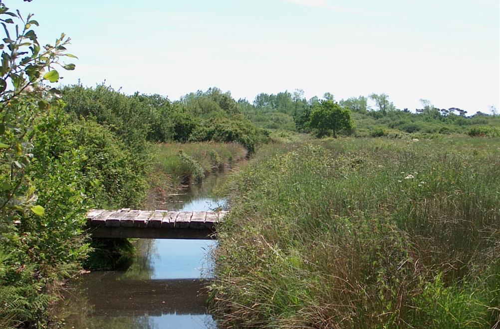Natural protected area in front of the Kost ar Moor Campsite