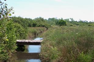 Natural protected area in front of the Kost ar Moor Campsite - Camping Kost Ar Moor - Fouesnant