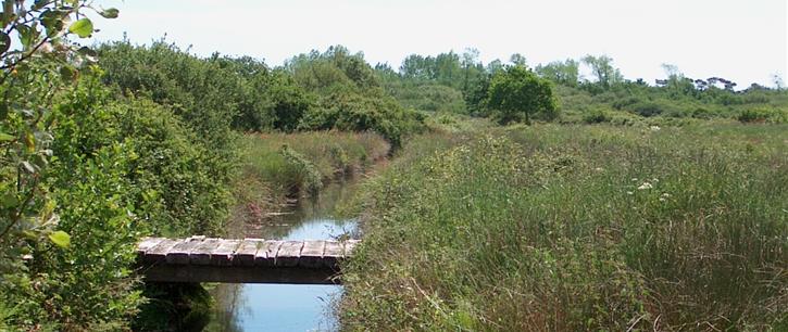 Natural protected area in front of the Kost ar Moor Campsite