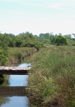 Natural protected area in front of the Kost ar Moor Campsite - Camping Kost Ar Moor - Fouesnant