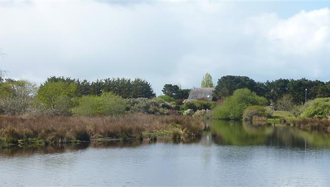 ishing possible in the pond opposite the campsite kost-ar-moor bretagne sud