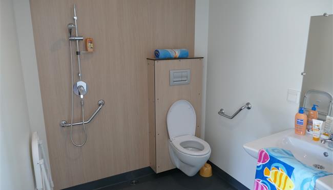 bathroom mobile home Handicapped Kost-Ar-Moor