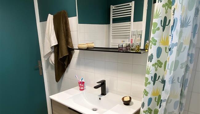 bathroom of the apartment for 2 people in Fouesnant - camping kost ar moor